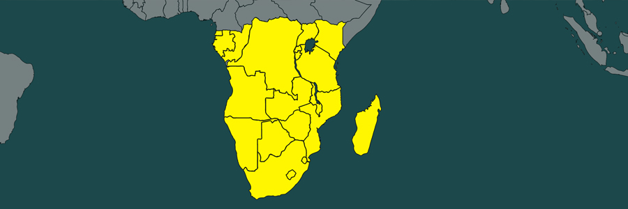 Treaty of Rhodesia